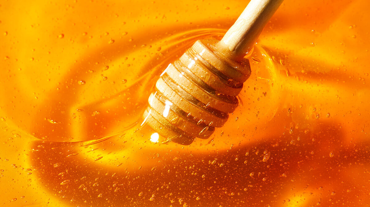 What are the Virtues of Honey and other Treasures of the Hive?